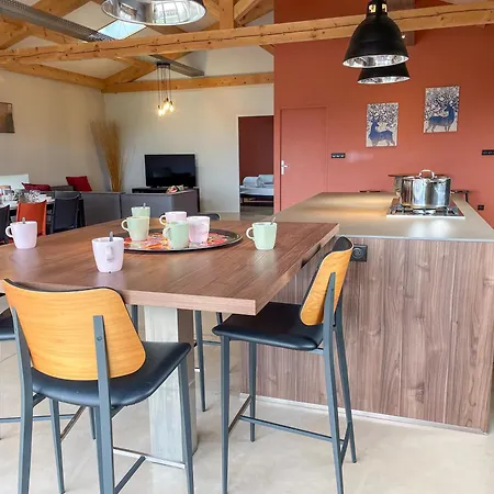 Des Ollieres Holiday home *